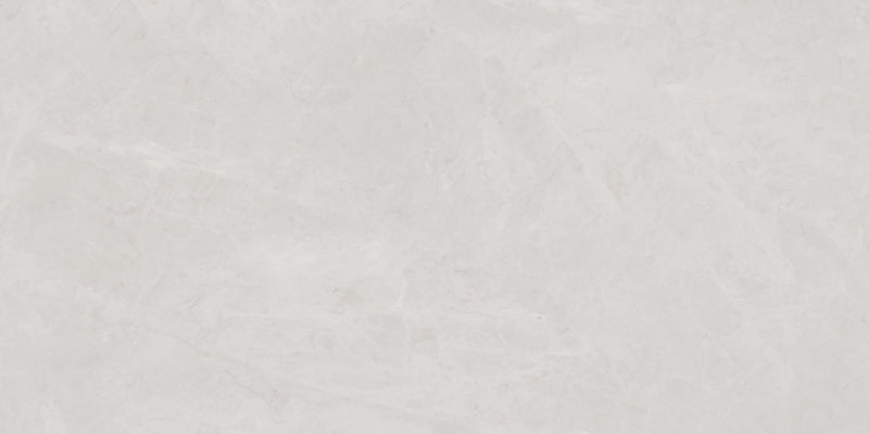 DIEGO ICE