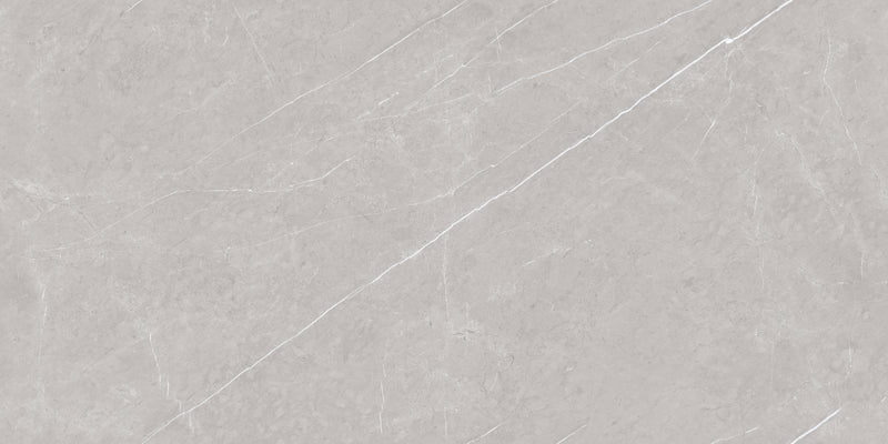GRIGIO SILVER