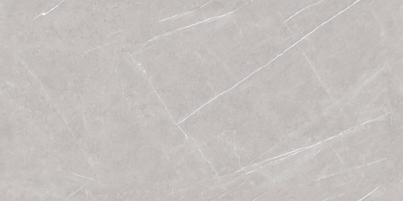 GRIGIO SILVER
